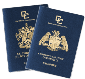 i-citizenship-8