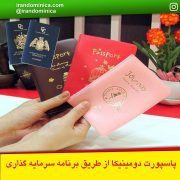 photo_2018-04-09_04-00-49