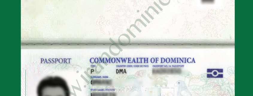 پاسپورت دومینیکا جدید
